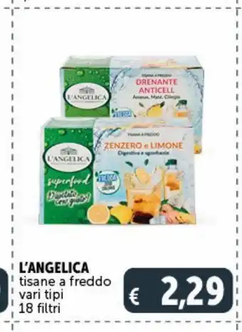 Deco Supermercati L'angelica tisane a freddo offerta