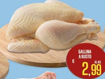 Gallina a Busto