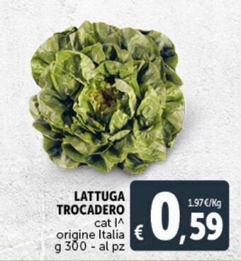 Deco Supermercati Lattuga trocadero offerta