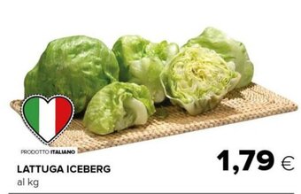 Tigre Lattuga Iceberg offerta
