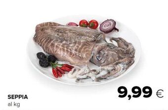 Tigre Seppia offerta