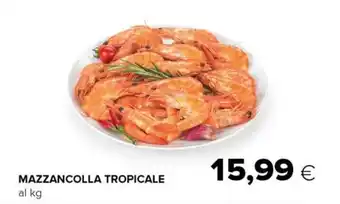 Tigre Mazzancolle Tropicale offerta