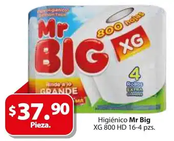 Zorro Higienico Mr Big XG 800 HD 16-4 pzs oferta