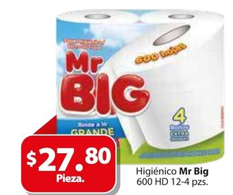 Zorro Higienico Mr Big 600 HD 12-4 pzs oferta