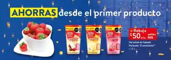 Walmart Express Variedad de helado Holando Cremissimo! 1.3 L oferta