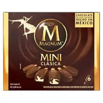 Paleta helada holanda magnum mini clásica 6 piezas