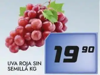 UVA Roja Sin Semilla kg