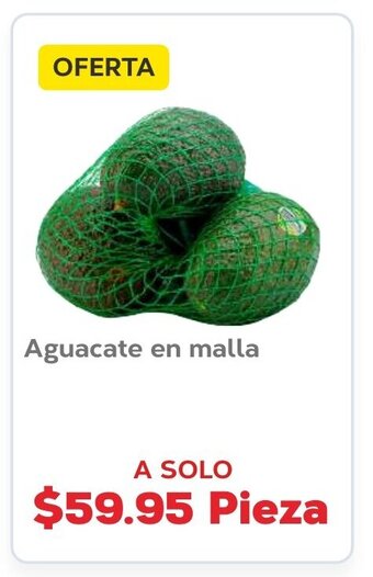Aguacate en malla