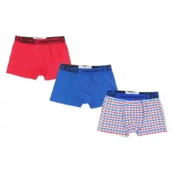 Boxer oggi