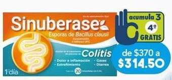 Farmacia San Pablo Sinuberase colitis 5ml 20 ampolletas oferta
