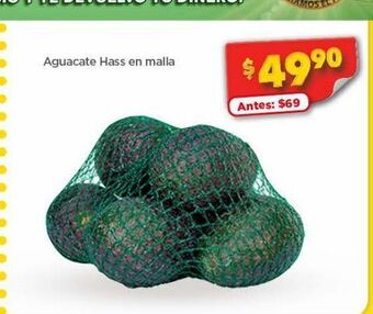 Aguacate hass en malla