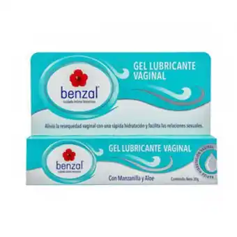 Benzal gel lubricante vaginal 30 g