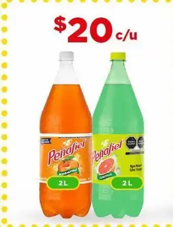 Bodega Aurrerá Refrescos peñafiel oferta