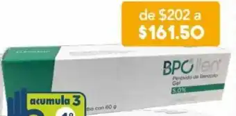 Farmacia San Pablo Bpollen Gel 5% 60g oferta