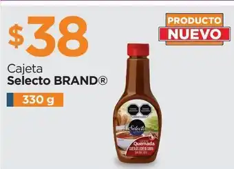Cajeta selecto brand 330g