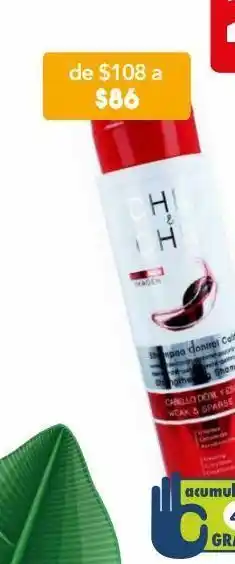 Farmacia San Pablo Chili & chili shampoo control caída de cacahuananche para cabello débil y escasos oferta