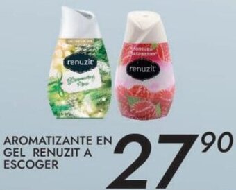 Aromatizante en Gel Renuzit a Escoger