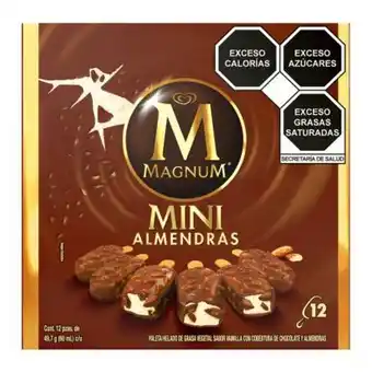 Paleta magnum almendras mini 12 pzas de 60 ml
