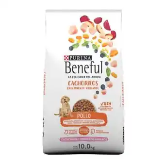 Sam's Club Alimento para perro purina beneful cachorros 10 kg oferta