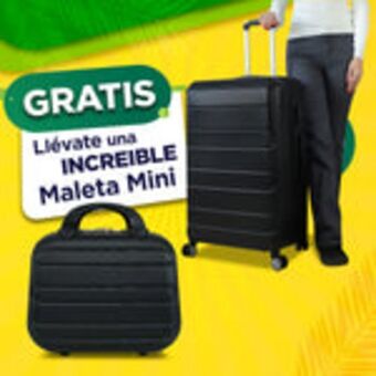 Waldos Set maleta dublin grande 75cm + maleta de mano 25cm gratis! oferta