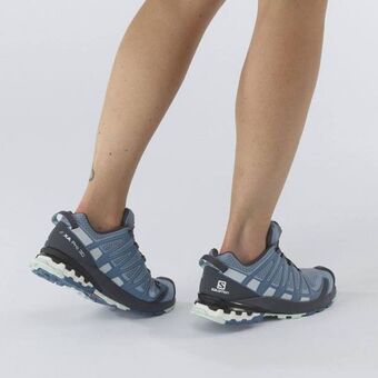 Salomon Xa pro 3d v8 oferta