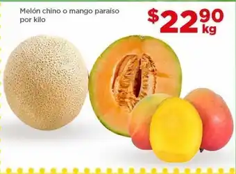 Melón chino o mango paraíso kg