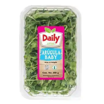Sam's Club Arúgula baby daily salad 250 gr oferta