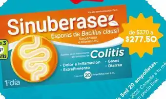 Farmacia San Pablo Sinuberase suspensión en ampolletas de 5ml cada una oferta