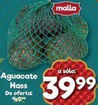 Aguacate Hass