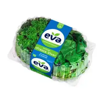 Lechuga viva hidropónica eva 2 piezas