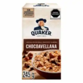 Avena chocolate con avellanas 245 gr