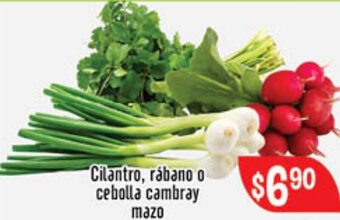 Cilantro, Rábano o Cebolla Cambray Mazo