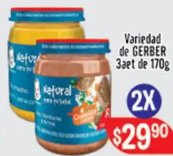 El Florido Variedad de Gerber 3aet de 170g oferta