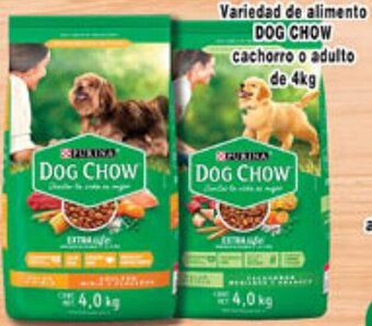 Variedad de Alimento Dog Chow Cachorro o Adulto de 4kg