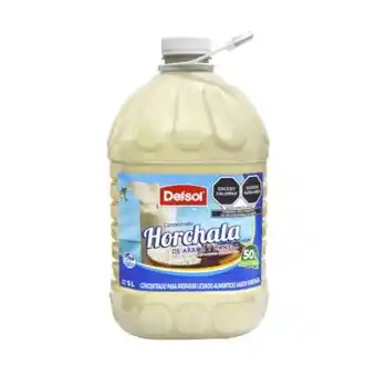 Concentrado delsol sabor horchata 5 l