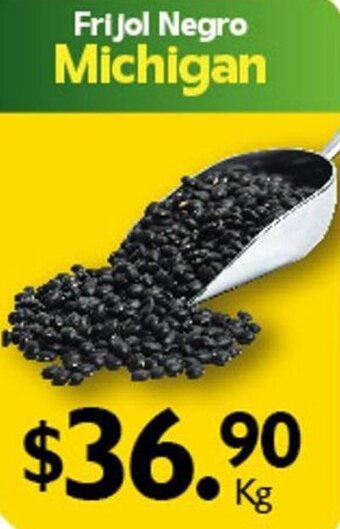 Arteli Frijol Negro Michigan oferta