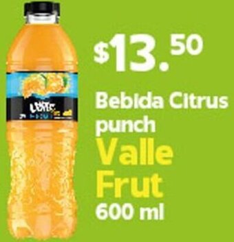 Arteli Bebida Citrus Punch Valle Frut 600ml oferta