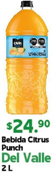 Bebida Citrus Punch Del Valle 2L