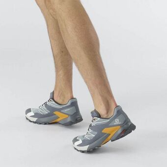 Tenis wings sky