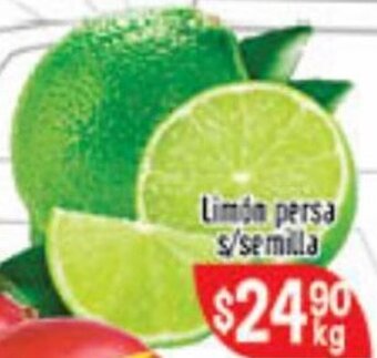 El Florido Limón Persa s/ Semilla oferta