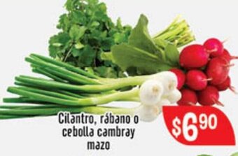 El Florido Cilantro, Rábano o Cebolla Cambray Mazo oferta