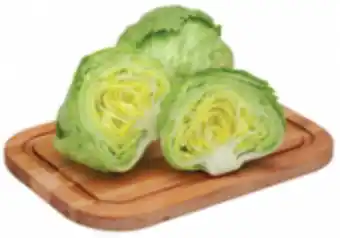 Lechuga romana mta