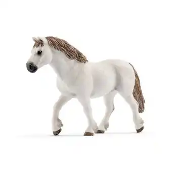 Cam worldwide yegua welsh pony 13872