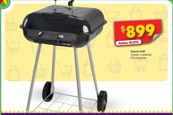 Asador cuadrado expert grill
