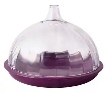 Contenedor guarda fresh kuk cebolla
