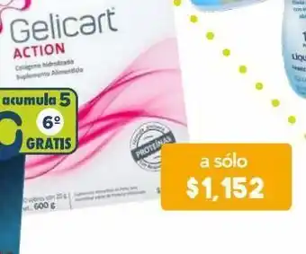 Gelicart action suplemento alimenticio 30 sobre polvo