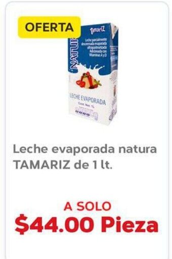 Leche evaporada natura TAMARIZ de 1 lt