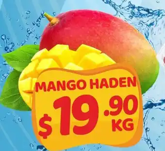 Mango Haden