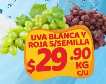 UVA Blanca y Roja s/Semilla