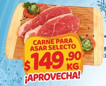 Carne para asar Selecto
